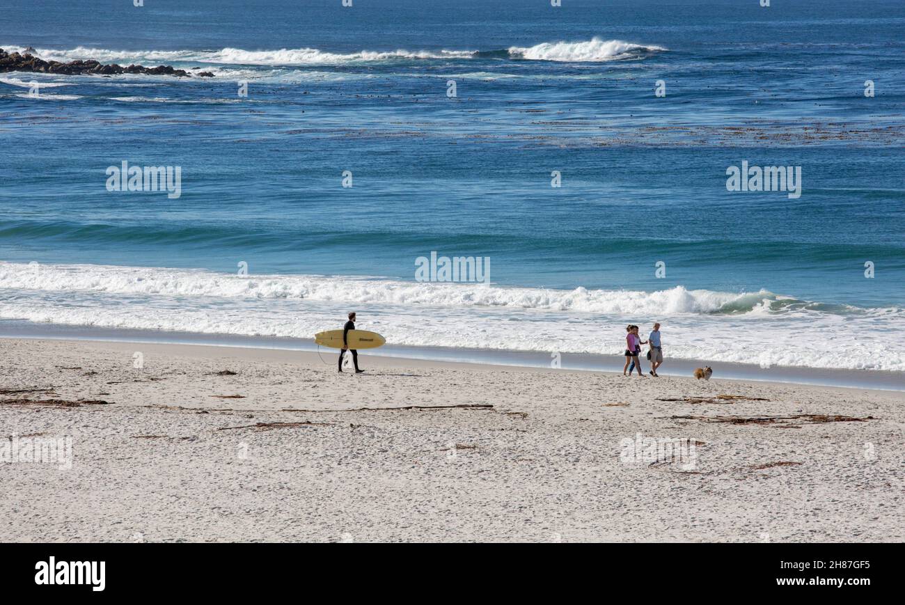 Carmel-by-the-Sea, California, USA. Vista sulla spiaggia sabbiosa fino all'Oceano Pacifico, surfisti e camminatori di cani sul bordo dell'acqua. Foto Stock