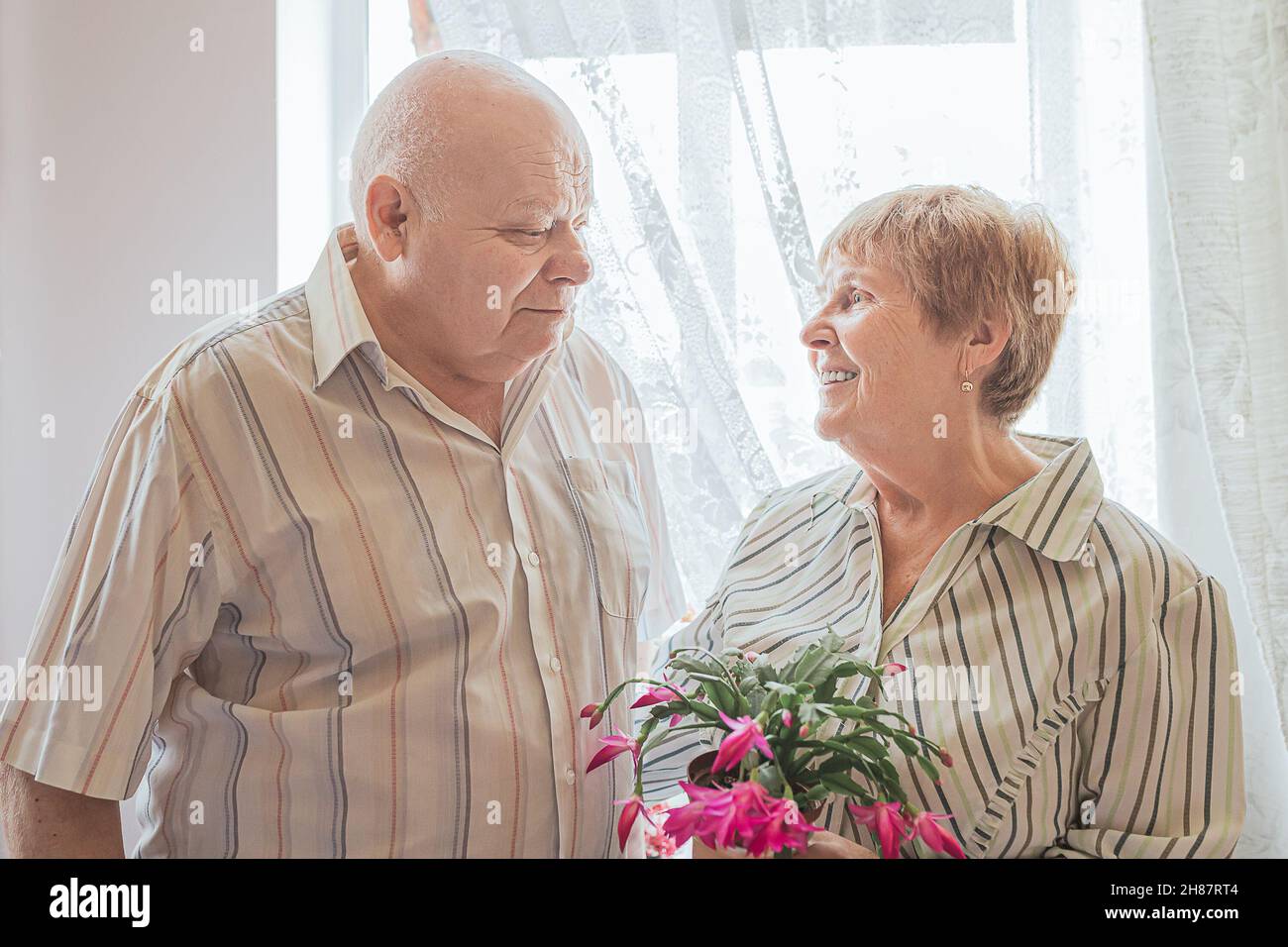 Anziano uomo caucasico con capelli bianchi corpo grande costruire e anziano donna bionda capelli stanno guardando l'un l'altro in amore nella stanza vicino alla finestra. Pianta di fioritura Foto Stock