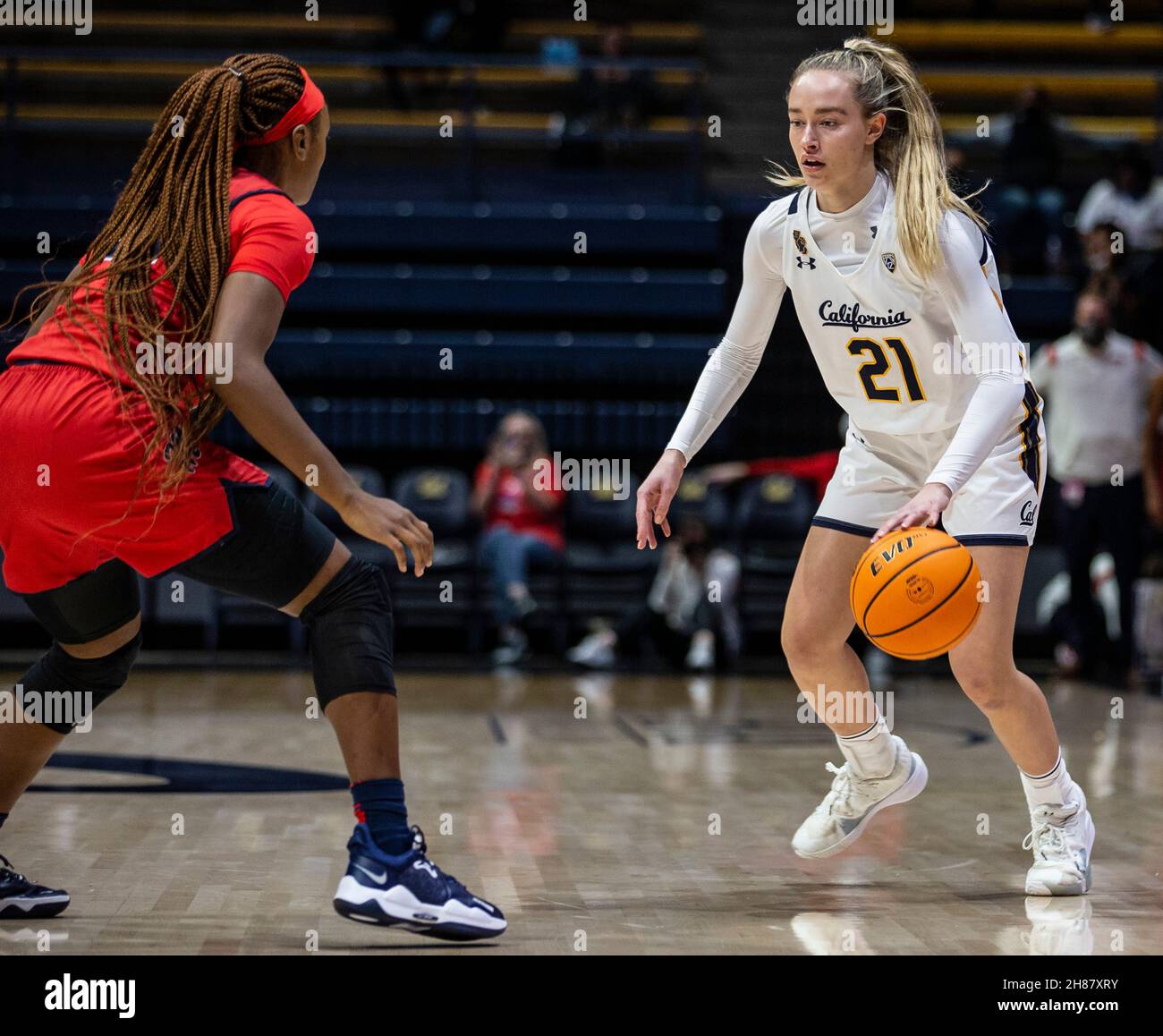 Hass Pavilion Berkeley Calif, USA. 27 novembre 2021. USA California Guard mia Mastrov (21) va al basket durante la partita di pallacanestro femminile NCAA tra i ribelli di Ole Miss e gli orsi dorati della California. OLE Miss ha vinto il 64-45 all'Hass Pavilion Berkeley Calif. Thurman James/CSM/Alamy Live News Foto Stock