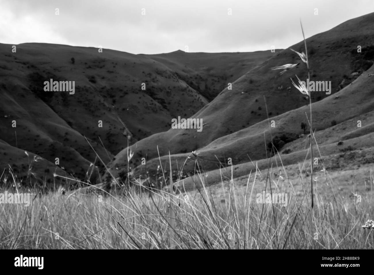 Gli altopiani coperti di erba e la valle del Midberg dei Monti Drakensberg del Sud Africa, in bianco e nero Foto Stock