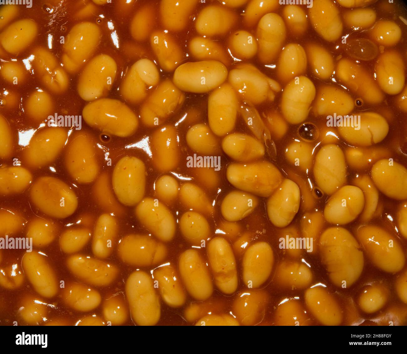 Fagioli in salsa di pomodoro Foto Stock