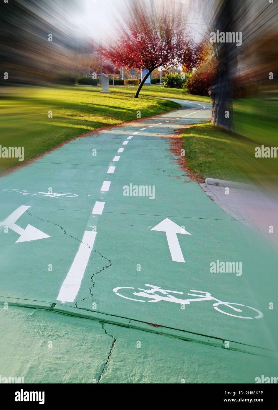 Verde pista ciclabile o bikeway nel parco con alberi colorati in autunno. Effetto blur in movimento veloce. Foto Stock