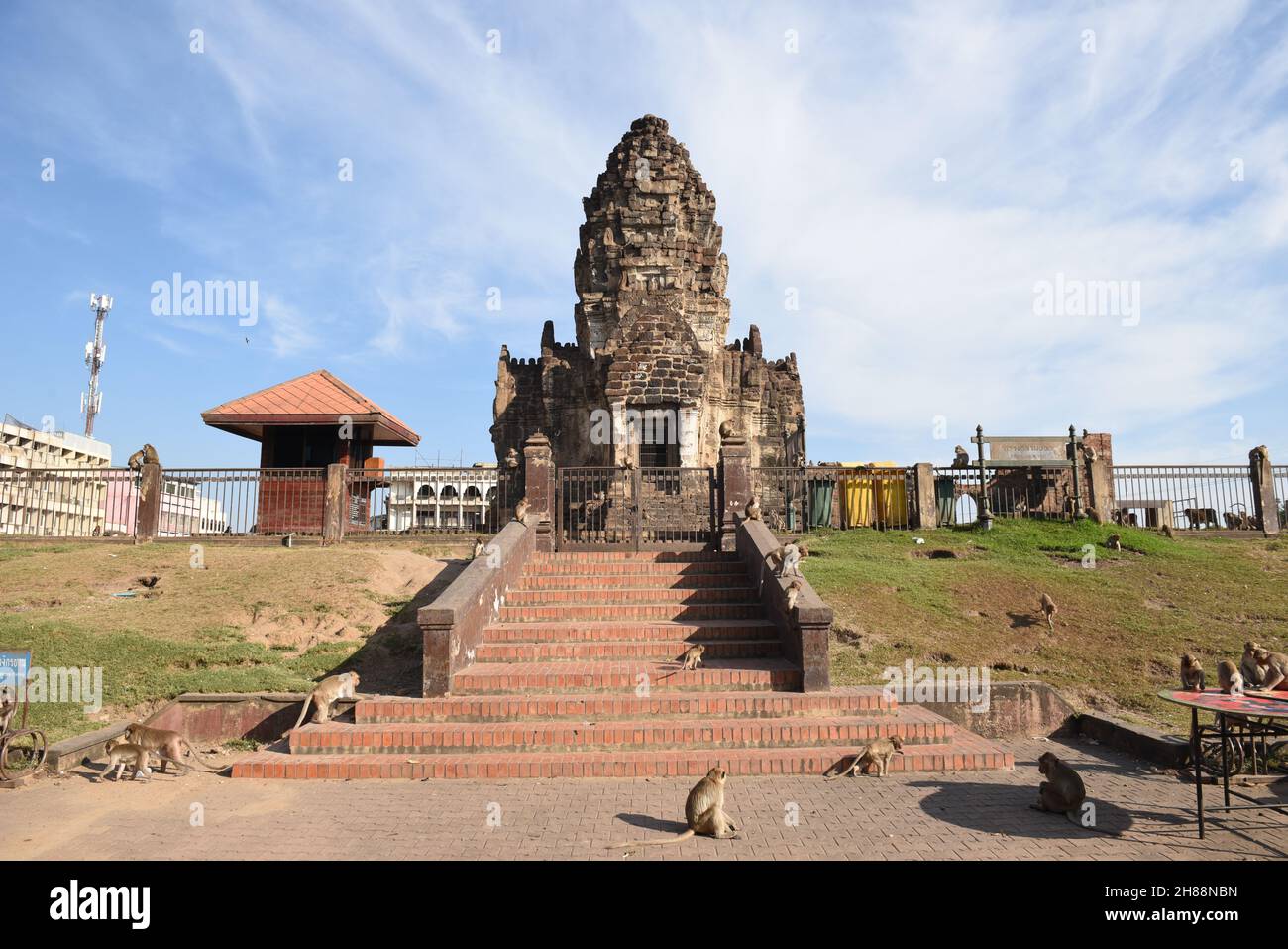 Thailandia - 28 novembre 2021 il 33° Festival Monkey buffet 2021 a Phra Prang Sam Yod, Lop Buri ha ricevuto l'attenzione dei turisti. Foto Stock