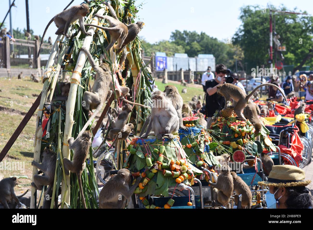 Thailandia - 28 novembre 2021 il 33° Festival Monkey buffet 2021 a Phra Prang Sam Yod, Lop Buri ha ricevuto l'attenzione dei turisti. Foto Stock