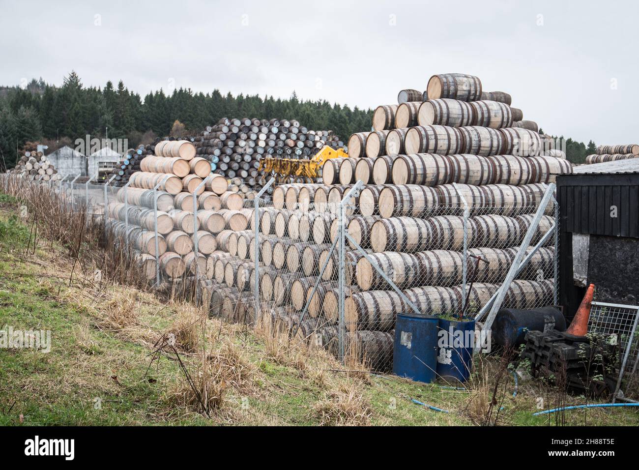 Pile di barili di whisky di quercia americana al cooperage di Speyside, Moray, Highlands ........ stivati con precisione per la stabilità della pila. Foto Stock