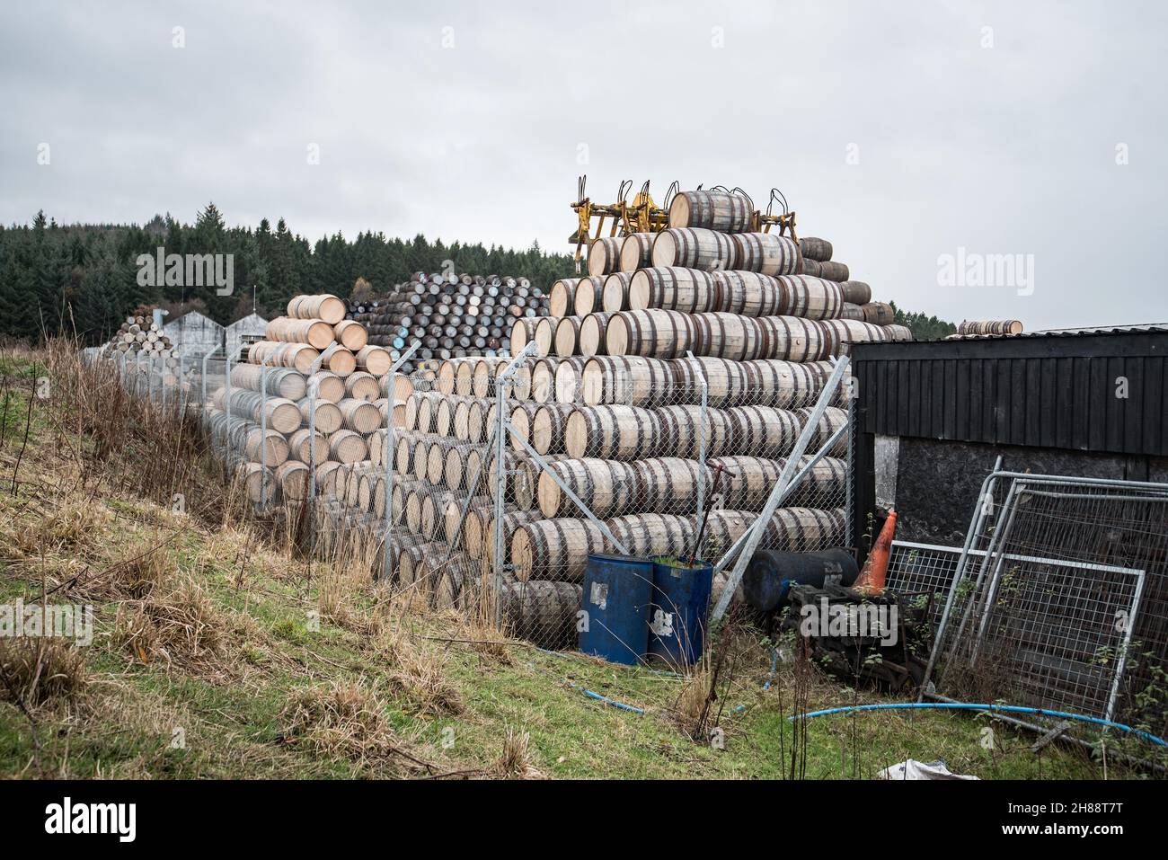 Pile di barili di whisky di quercia americana al cooperage di Speyside, Moray, Highlands ........ stivati con precisione per la stabilità della pila. Foto Stock
