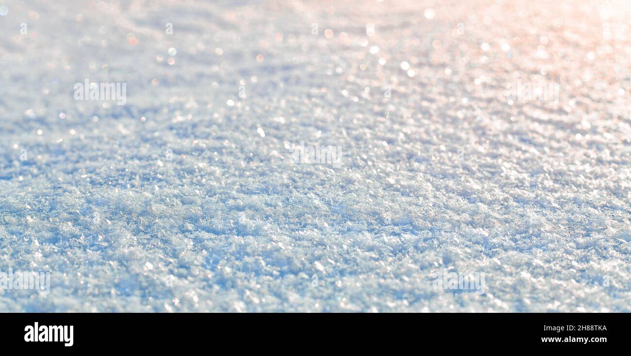 Lo sfondo innevato splende alla luce del sole del tramonto. Foto Stock
