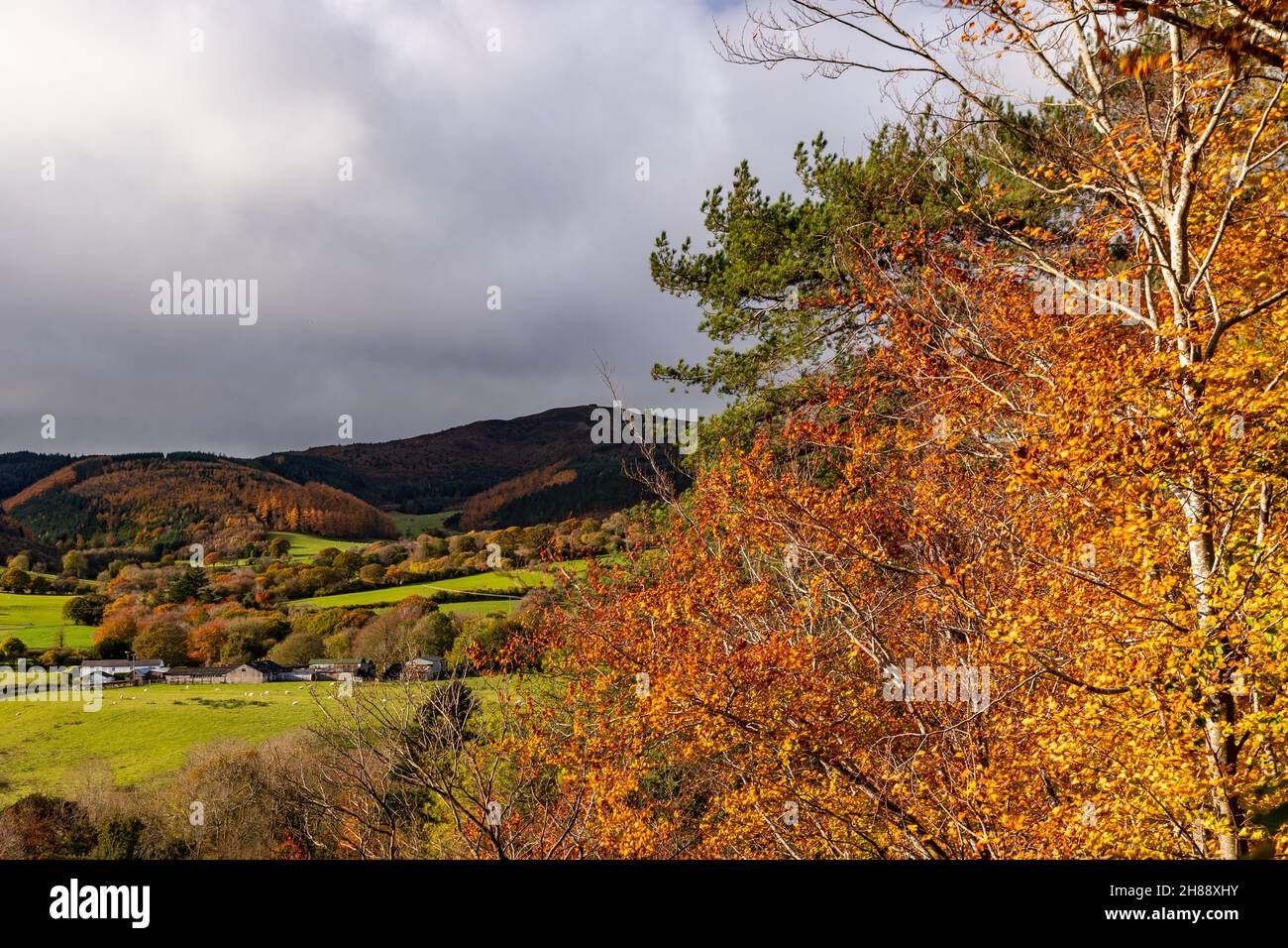 Clwydian Range Area of Outstanding Natural Beauty, Galles del Nord, in autunno Foto Stock