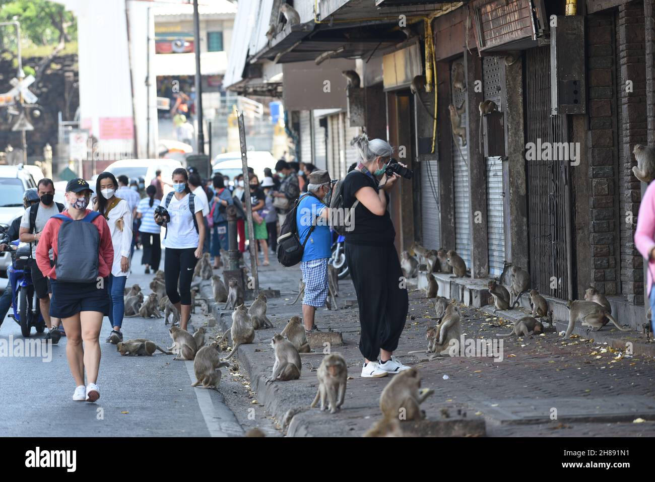 Thailandia - Shophouse di fronte a Phra Prang Sam Yod, Provincia di Lopburi un grande gruppo di scimmie occupano questa zona è stata abitata per lungo tempo permettendo alle persone di vivere nella vita quotidiana insieme 28 novembre 2021. (Foto di Teera Noisakran / Pacific Press) Foto Stock