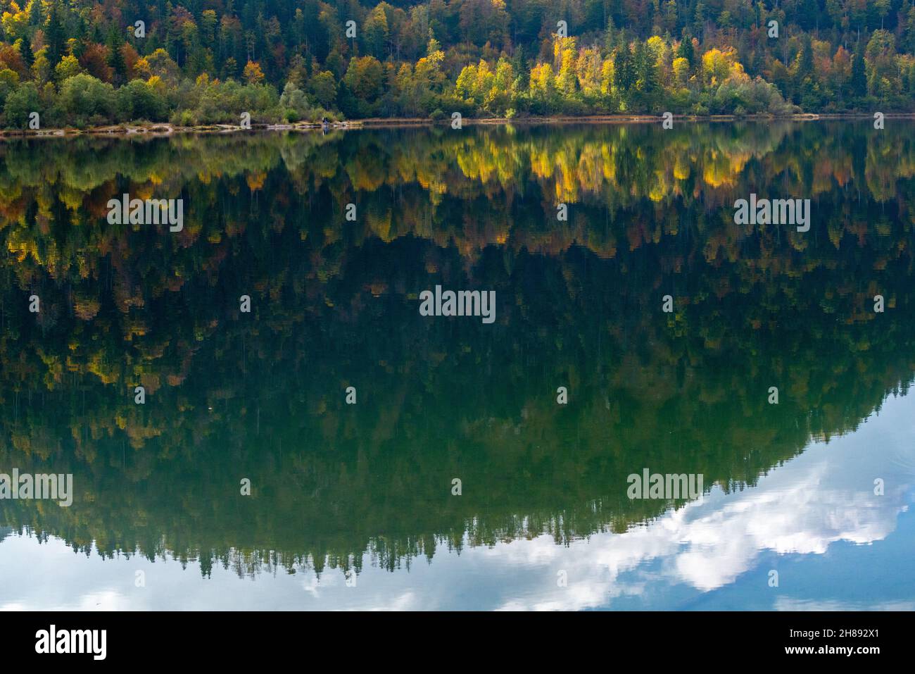 Lago Weitsee in autunno stagione in controluce con fantastica luce solare, Reit im Winkl, regione di Chiemgau, alta Baviera, Germania meridionale, Foto Stock