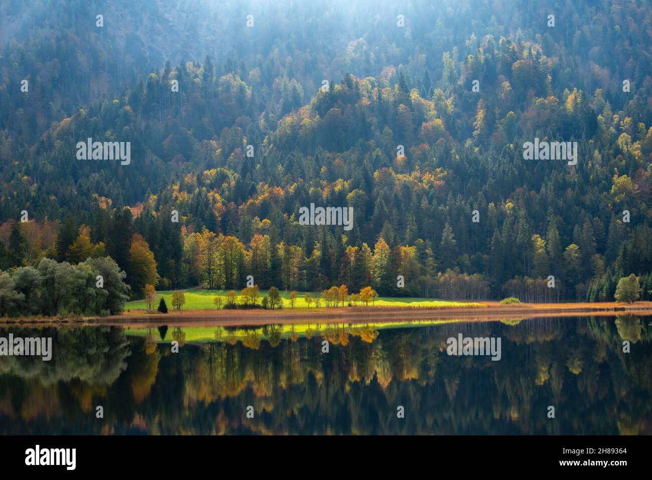 Lago Weitsee in autunno stagione in controluce con fantastica luce solare, Reit im Winkl, regione di Chiemgau, alta Baviera, Germania meridionale, Foto Stock