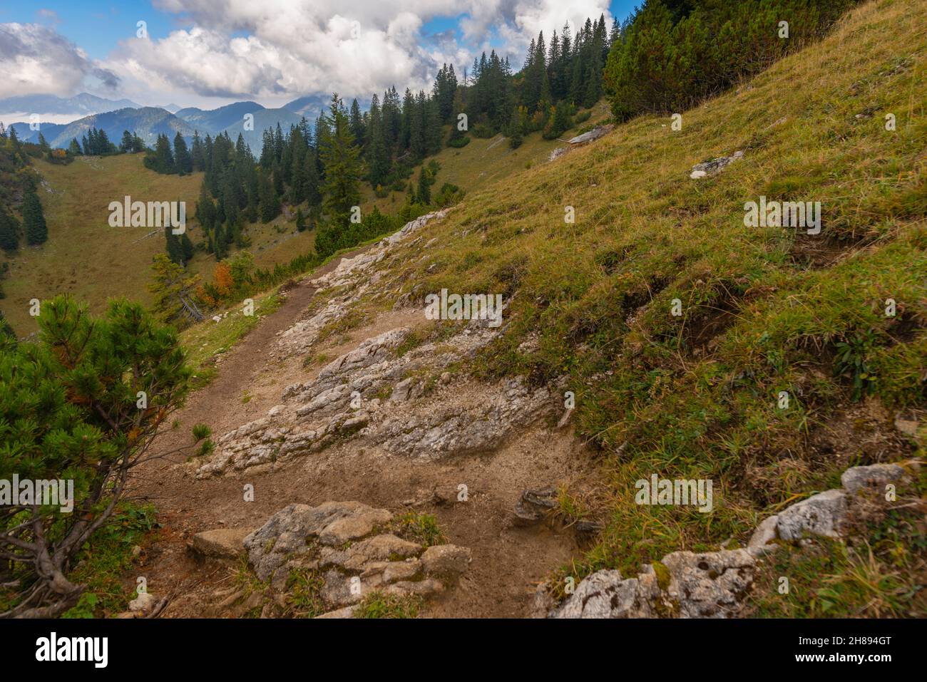 Sentiero escursionistico lungo un pendio a Dürrnbachhorn 1776 m s.l.m. Reit im Winkl, zona di Chiemgau, alta Baviera, Germania meridionale, Europa, Foto Stock