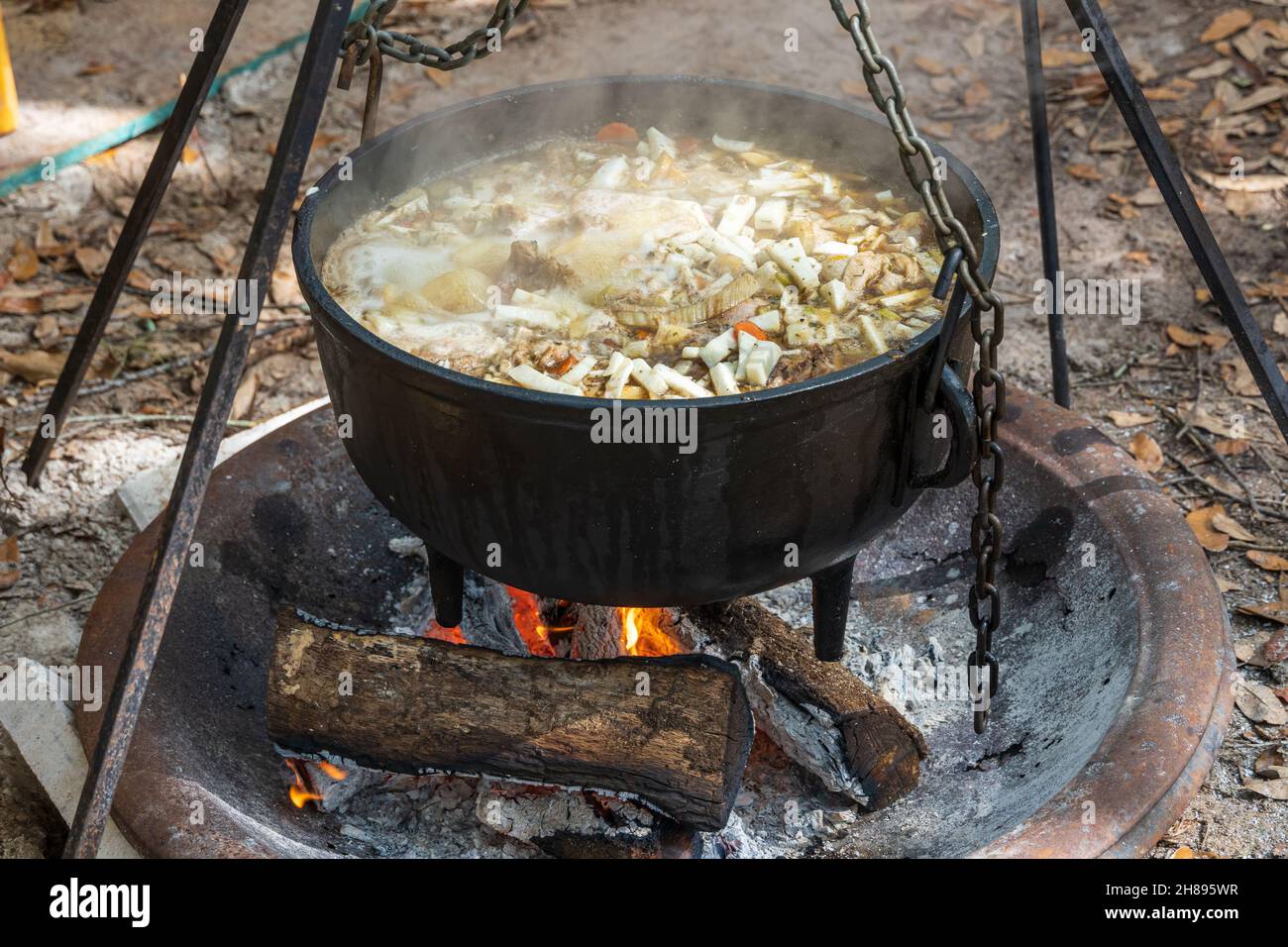 Uno stufato di carne e verdure in un calderone nero che cuoce a fuoco aperto - Florida, USA Foto Stock