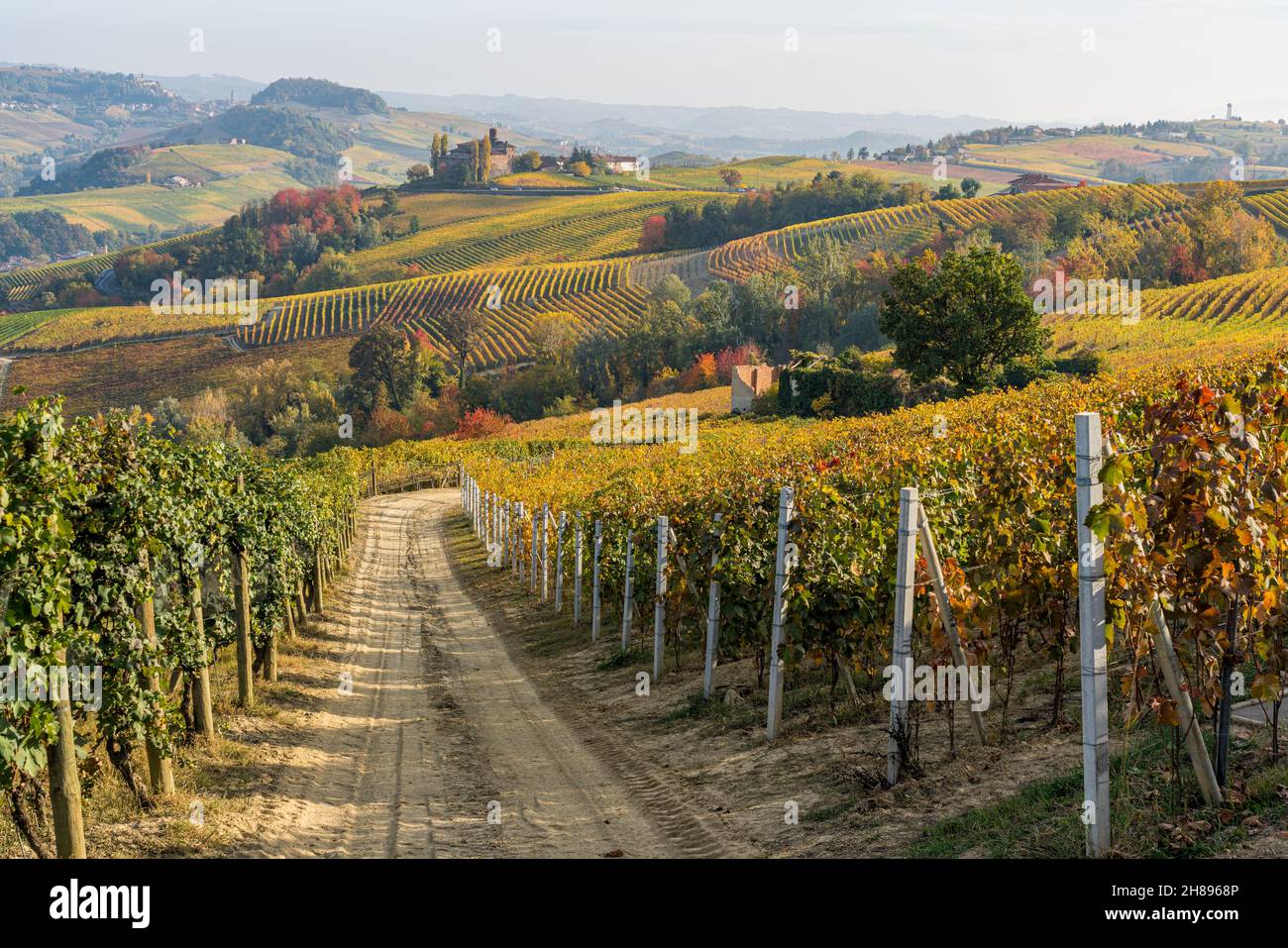 Bellissimo paesaggio autunnale con il Castello della volta, nelle langhe del Piemonte. Foto Stock