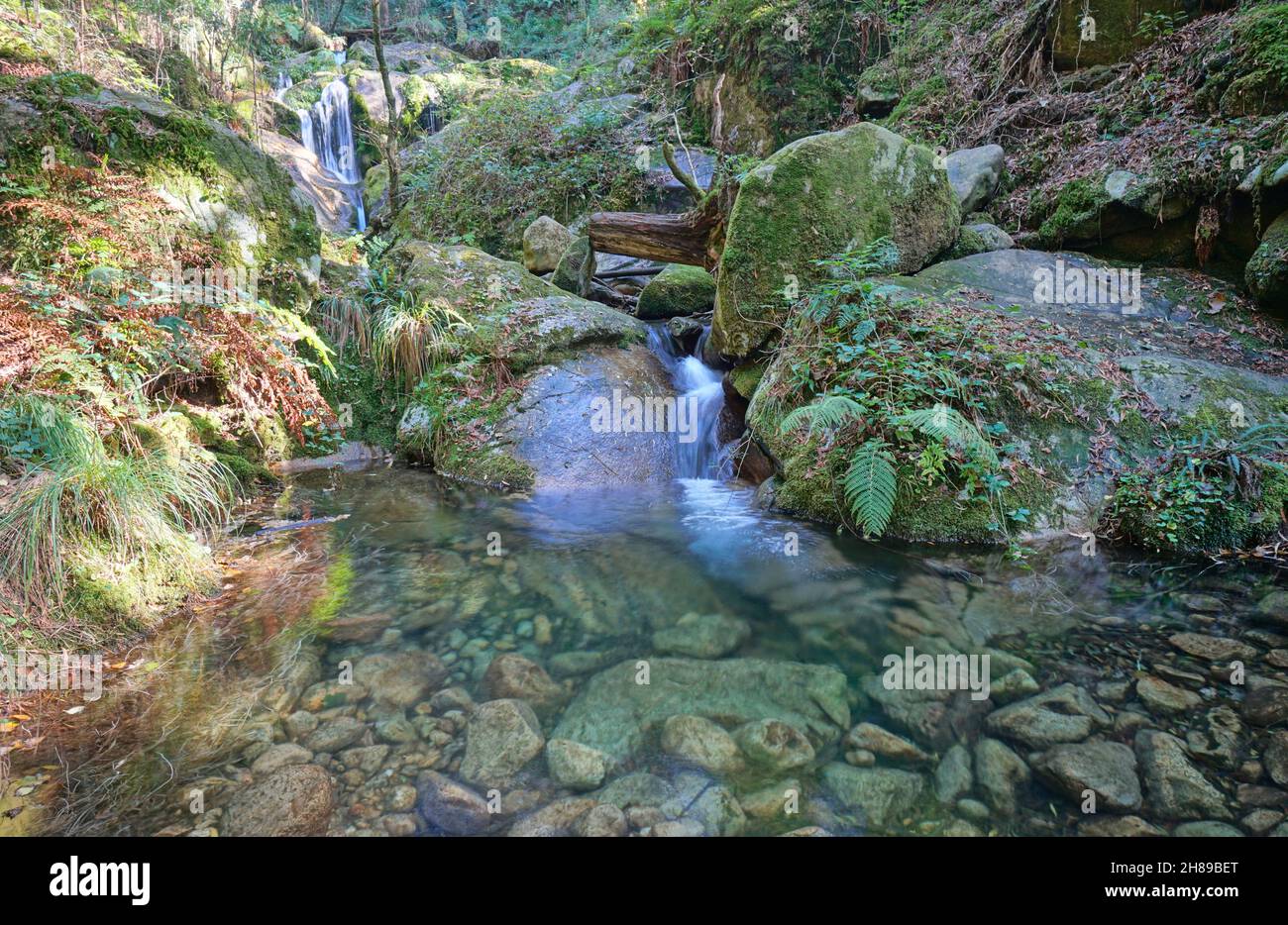 Fiume con piccola cascata e acqua limpida, Spagna, Galizia, Rio De la Fraga, Pontevedra provincia Foto Stock