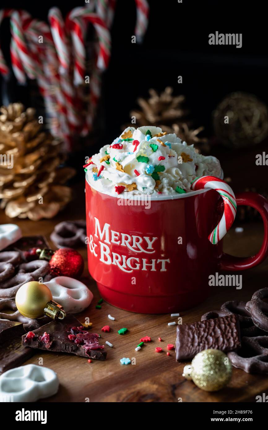 Una tazza di cioccolata calda con panna a frusta e spolverini e una canna di caramelle. Foto Stock