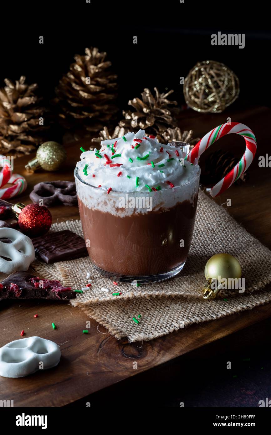 Una tazza di cioccolata calda con panna a frusta e spolverini, pronta per essere bevuta Foto Stock