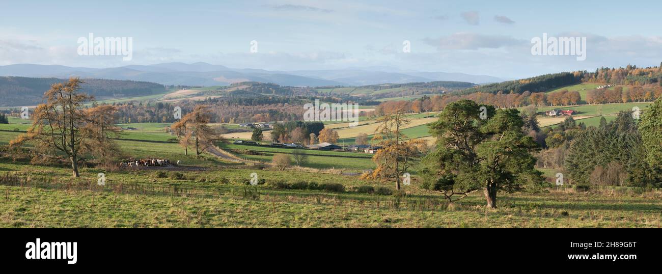 Un panorama panoramico dalla collina di Learney in autunno, con vista sui terreni agricoli verso i Monti Grampian, tra cui Lochnagar, sull'orizzonte Foto Stock