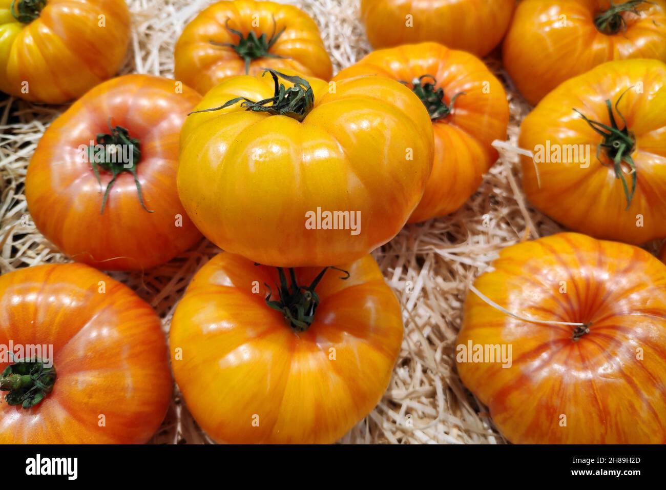 Primo piano su una pila di pomodori gialli da telaio per la vendita su una bancarella del mercato. Foto Stock