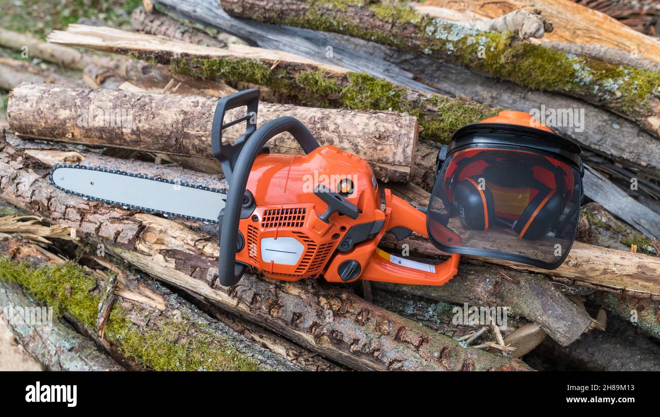 Motosega portatile e casco di sicurezza su cumulo di tronchi di legno mosy. Motosega arancione, elmetto, protezione per il viso e protezione per l'udito. Segatrice. Foto Stock