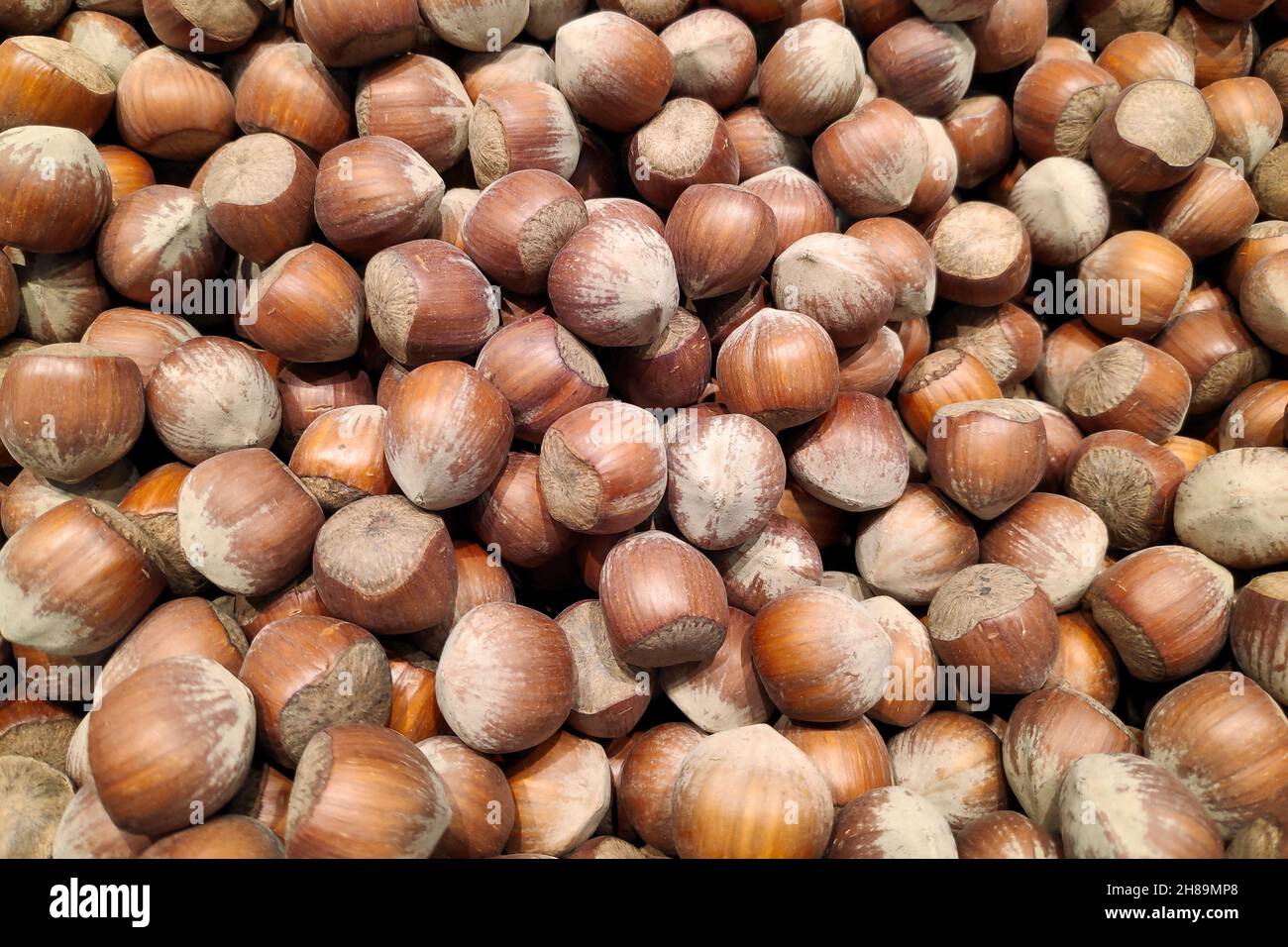Primo piano su una pila di nocciole in vendita su una bancarella del mercato. Foto Stock