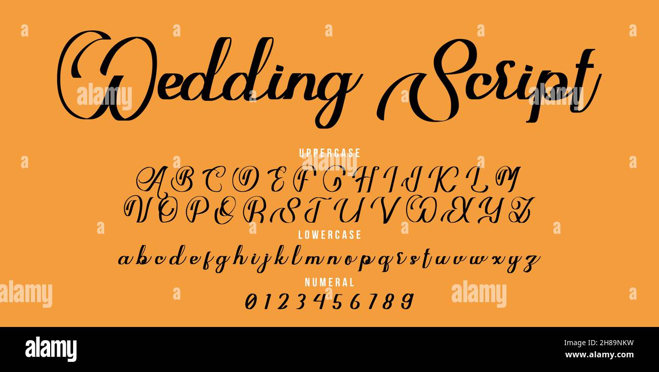Font wedding scritto a mano. Carattere pennello illustrazione vettoriale isolato sfondo Illustrazione Vettoriale