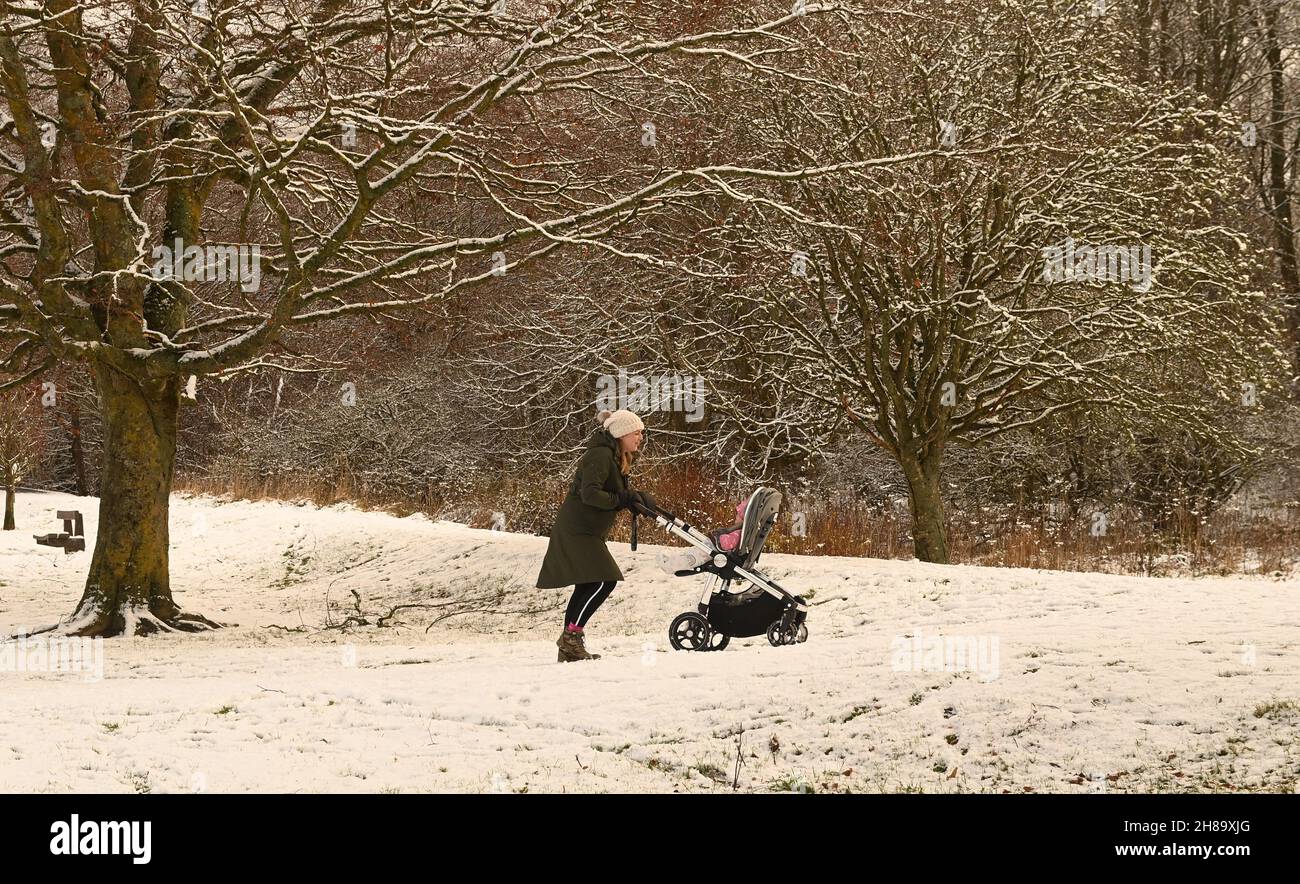 Peebles, Scottish Borders, UK 28 novembre 21 neve da notte pesante. Colpisce i confini scozzesi. La mamma Peebles spinge il pam nonostante la neve in Hay Lodge Park. Credit: eric mccowat/Alamy Live News Foto Stock