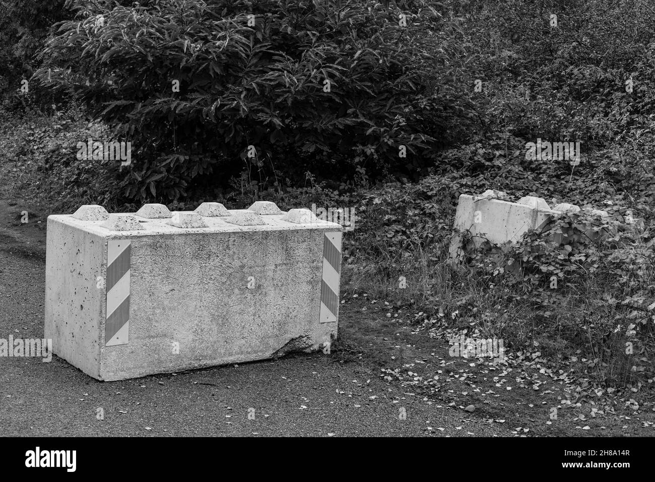 Blocco di cemento su una corsia di bosco. Foto Stock