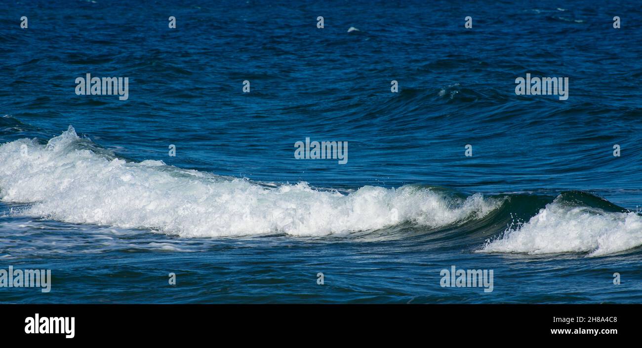 Tempesta di autunno a Sochi. Grandi onde vicino alla diga. Autunno tempestoso mare nero. Infuria la Mar Nero. Grande onda closeup Foto Stock