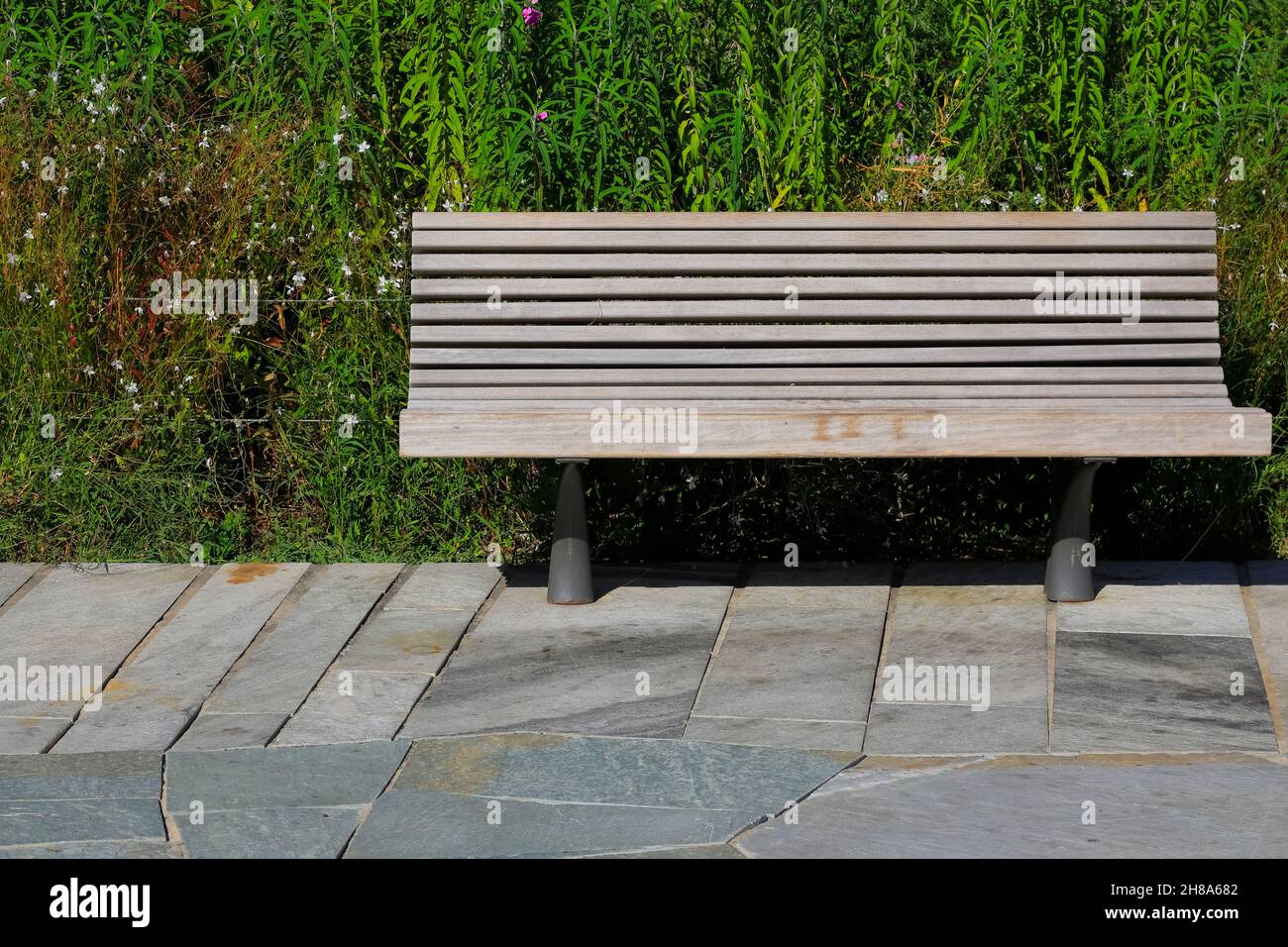 Solitario parco di panca presso il sentiero nelle immediate vicinanze di piante verdi Foto Stock