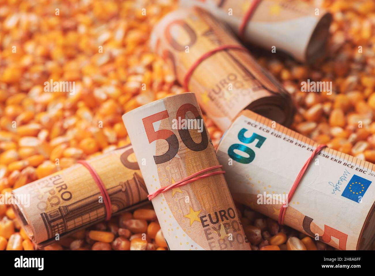 Cinquanta euro bankroll, rotolato moneta dell'Unione europea sul raccolto mais grano mais, fuoco selettivo Foto Stock