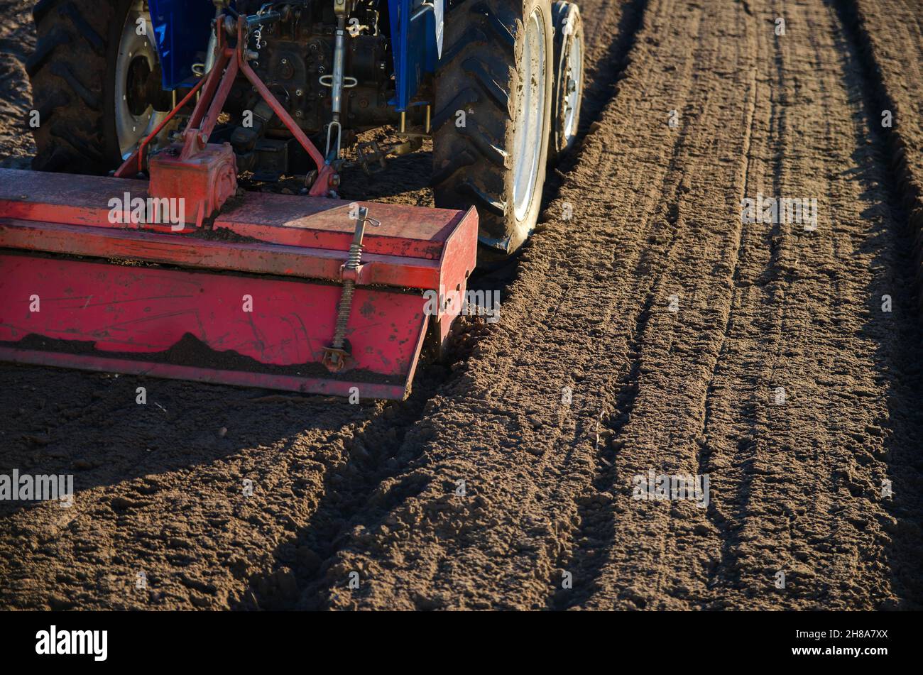 Il coltivatore del trattore si rompe e mescola il terreno, conferendogli morbidezza e umidità per un ulteriore taglio su file. Piccole aziende agricole. Lavoro in agricoltura Foto Stock