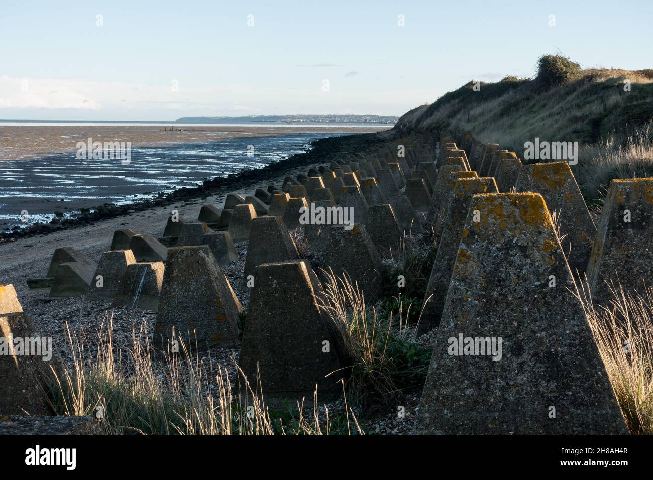 La seconda guerra mondiale difese della trappola del carro armato sull'isola di Grain, Kent, Inghilterra Foto Stock