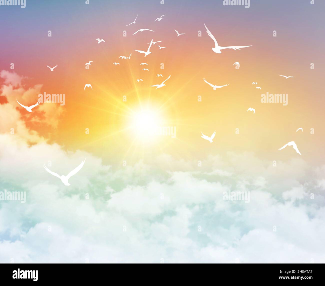 Sole nascente e uccelli volanti nel cielo del mattino, con nuvole bianche e basse, in una nuova giornata limpida in cielo Foto Stock