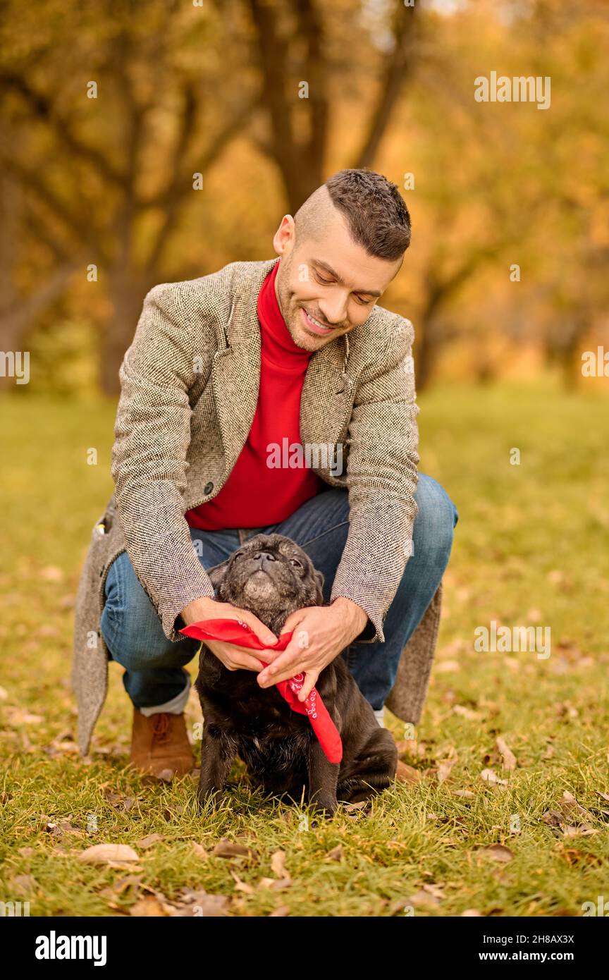 Un proprietario di animale domestico che mette sul cane-colletto sul suo cane Foto Stock