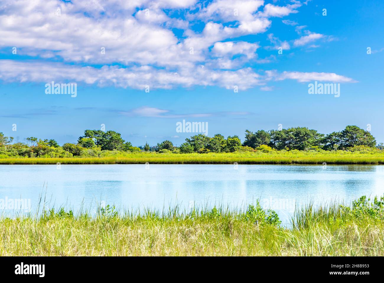 Paesaggio con acqua, Napeague tratto in Amagansett, NY Foto Stock