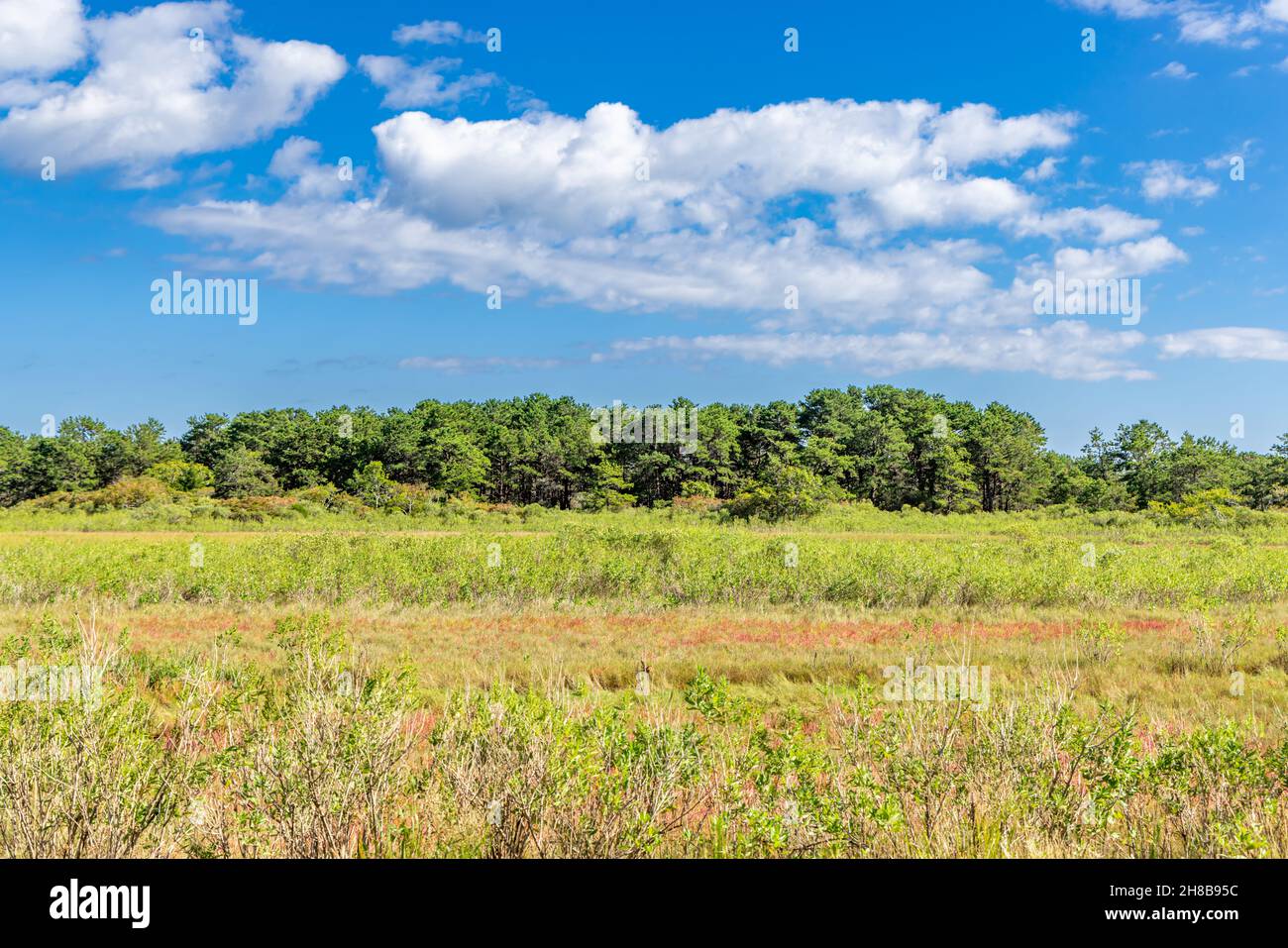 Paesaggio nel tratto di Napeague, Amagansett Foto Stock