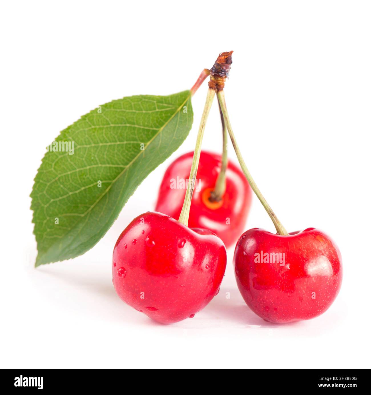 Vino e pomodori con basilico in ambiente vintage su tavola di legno Foto Stock