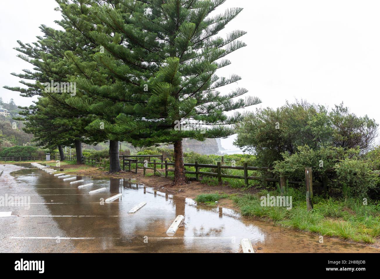 Australia Sydney, il clima di primavera bagnata come evento meteorologico la Nina/El Nino è annunciato portando il tempo bagnato in australia in primavera ed estate, Sydney Foto Stock