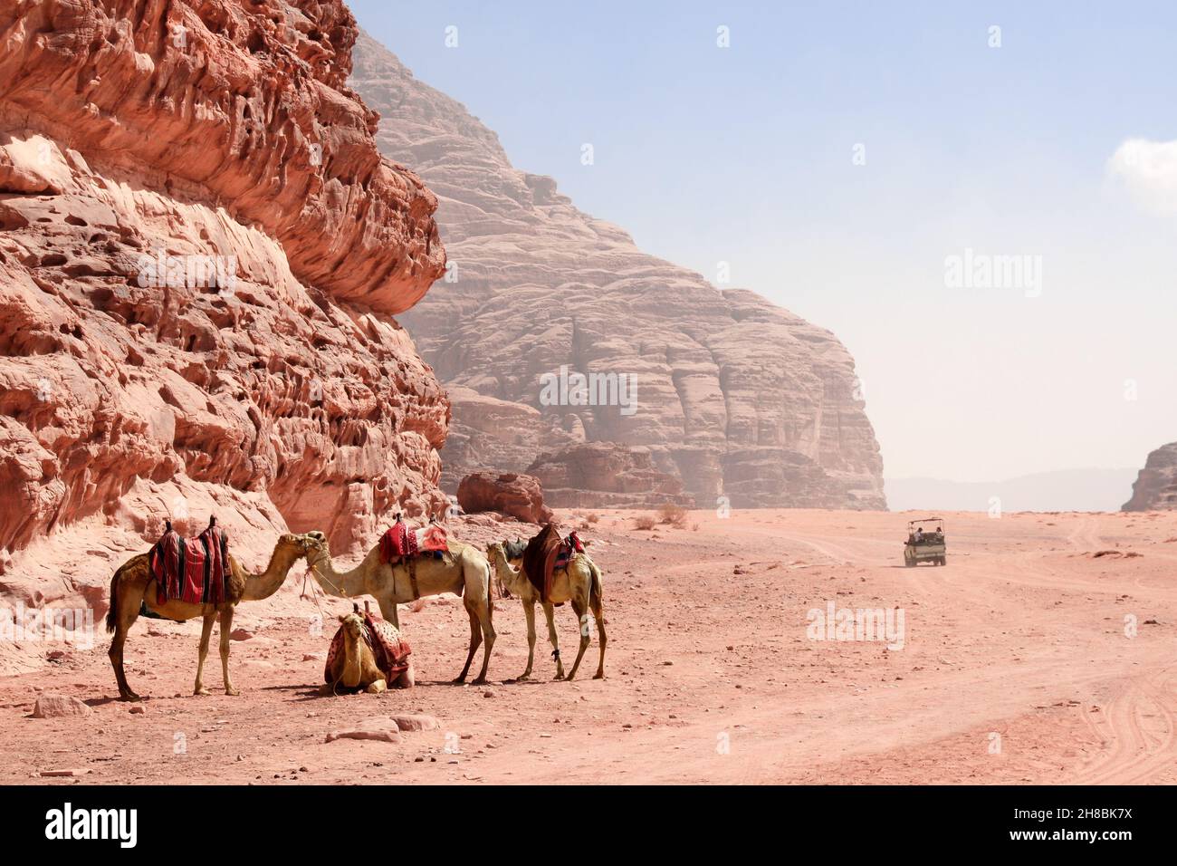 Safari in Jeep nel deserto di Wadi Rum, Giordania. I turisti in auto cavalcano sulla strada in fuoristrada sulla sabbia tra le splendide rocce. Paesaggio desertico con quattro cammelli, san rosso Foto Stock