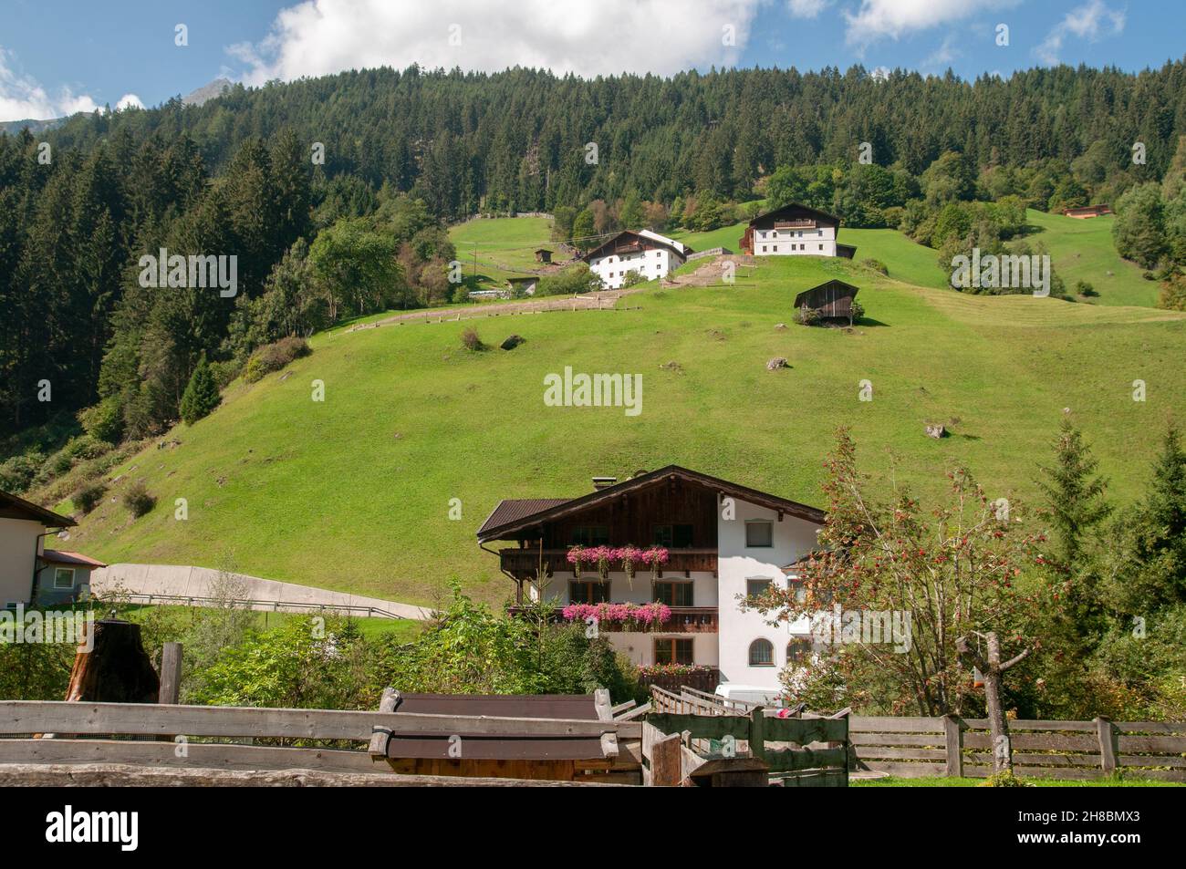 Fioritura cassette di fiori su un balcone su una tipica casa a Neustift im Stubaital, Tirolo, Austria Foto Stock