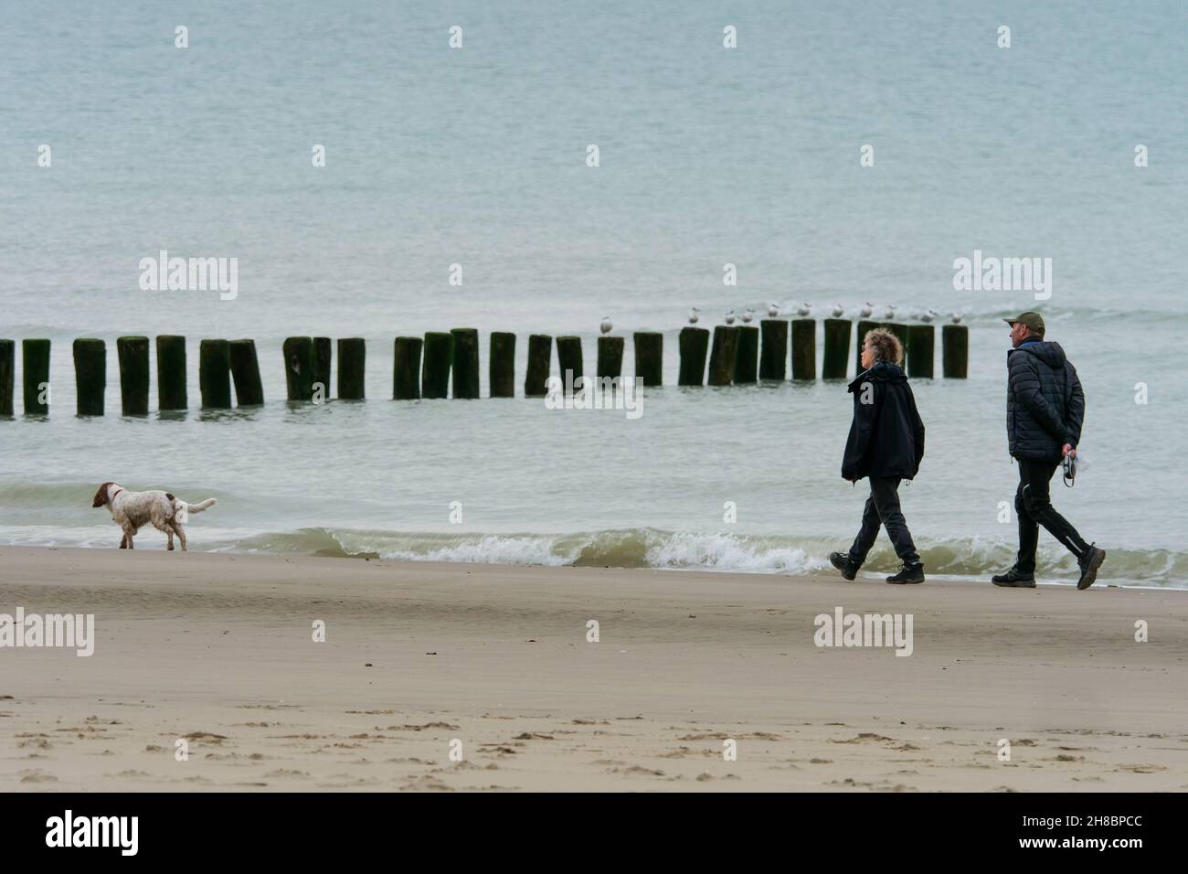 Persone che camminano sulla spiaggia di sabbia, Berck sur Mer, Pas de Calais, Picardie, Francia nord-occidentale Foto Stock