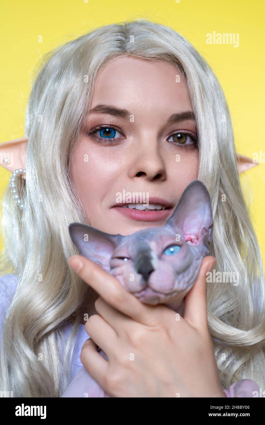 Ritratto di giovane donna bionda cosplay elfo in abito blu, tenendo Sfinge gatto, sorridente, guardando la macchina fotografica. Capelli ricci Elf, occhi di colore diverso Foto Stock