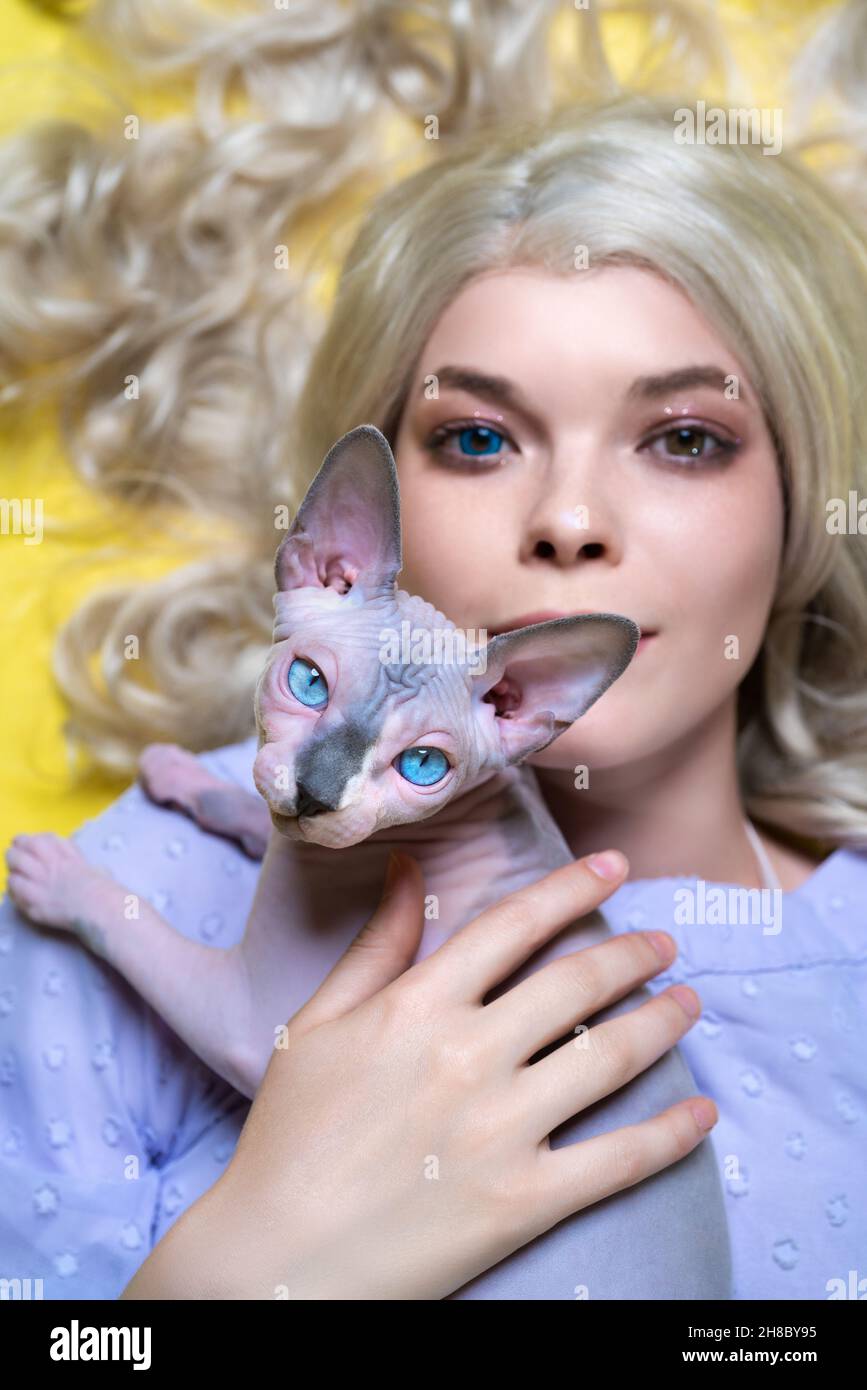 Ritratto della giovane donna bionda cosplay elf in abito blu con occhi di diversi colori giacenti su sfondo giallo, tenendo sul petto Sfinge gatto Foto Stock