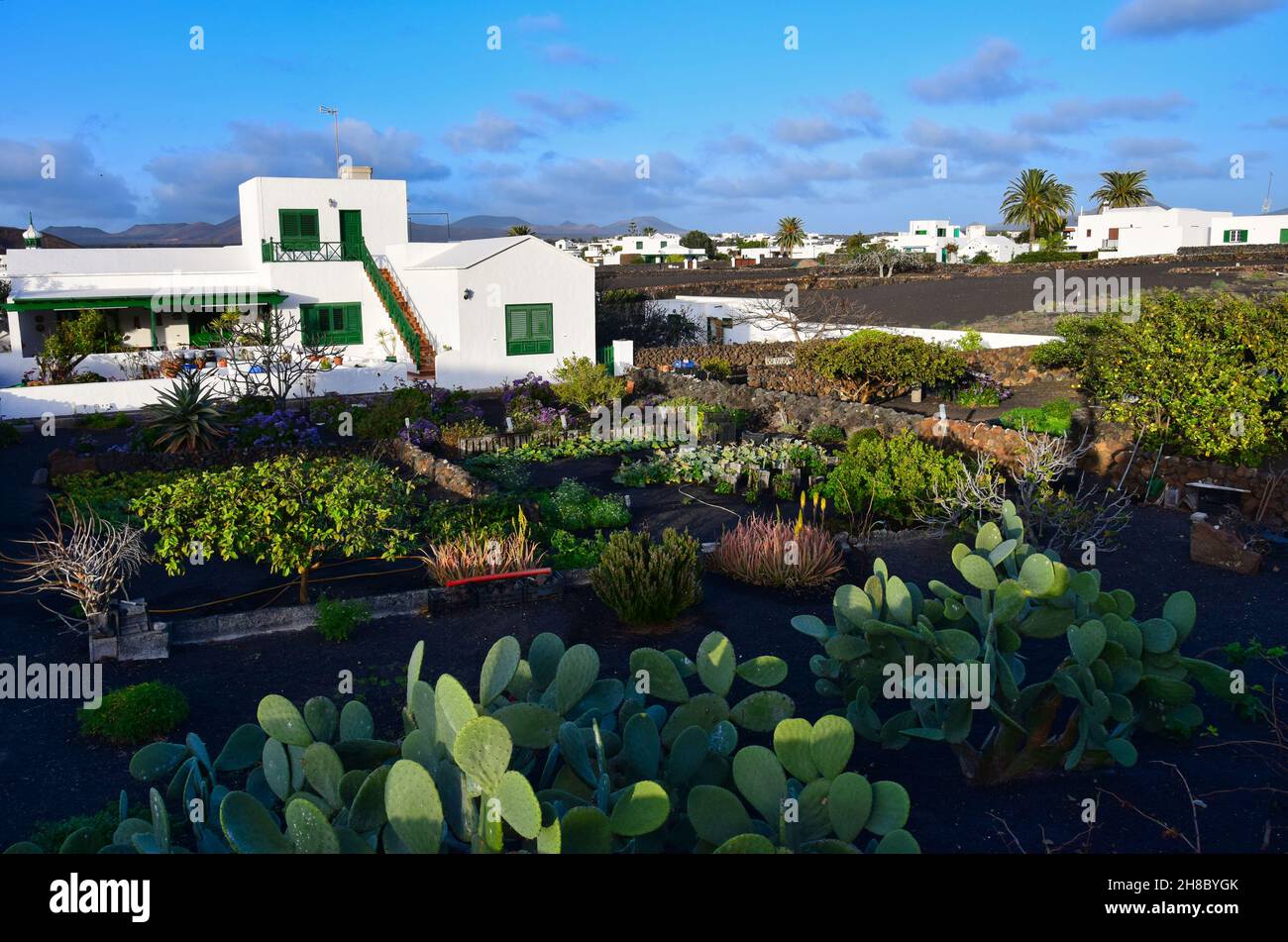 La piccola città di Yaiza a Lanzarote. Una casa tipica con un giardino con un sacco di opuntie e altre piante. Isole Canarie, Spagna. Immagine presa dal pubblico Foto Stock