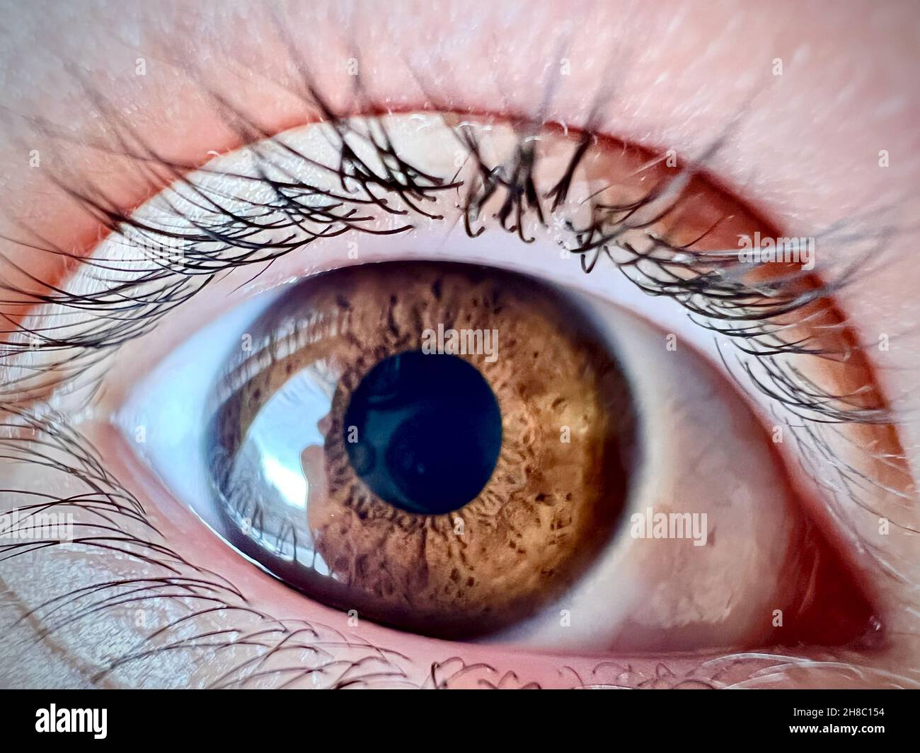 retina con occhi marroni con riflessione su di esso primo piano Foto Stock