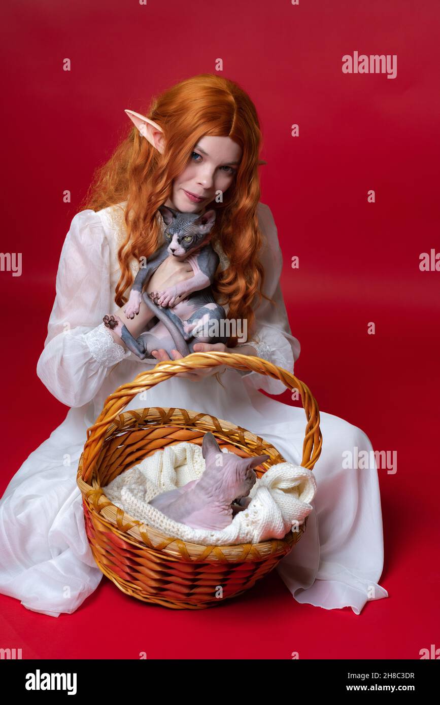 Cosplay elf giovane donna in abito bianco, con capelli lunghi rossi ondulati si siede su sfondo rosso e preme Sphinx gattino al petto. Nel cestino ai suoi piedi Foto Stock