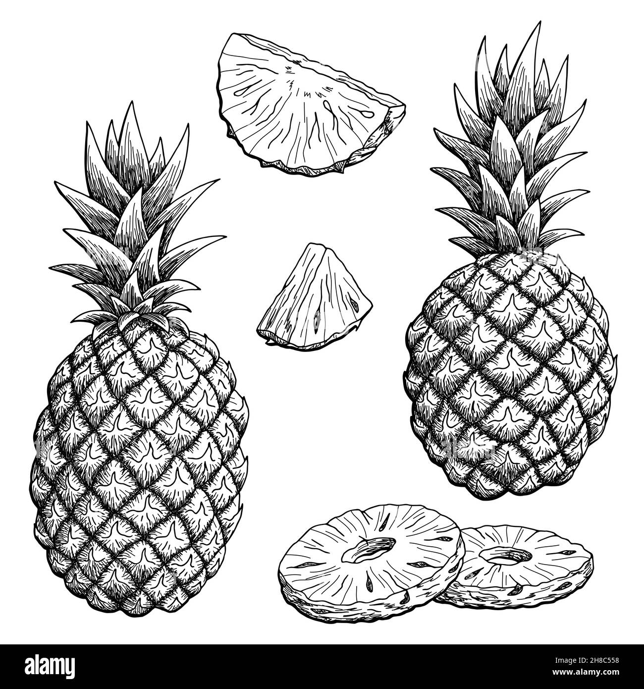 Pinananas frutta grafica nero bianco isolato schizzo illustrazione vettore Illustrazione Vettoriale