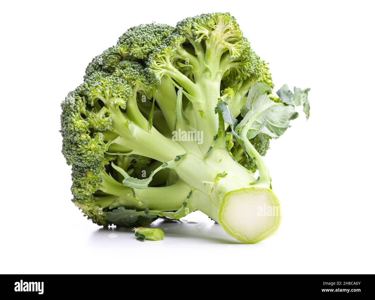 Un unico broccoli verde isolato su sfondo bianco Foto Stock