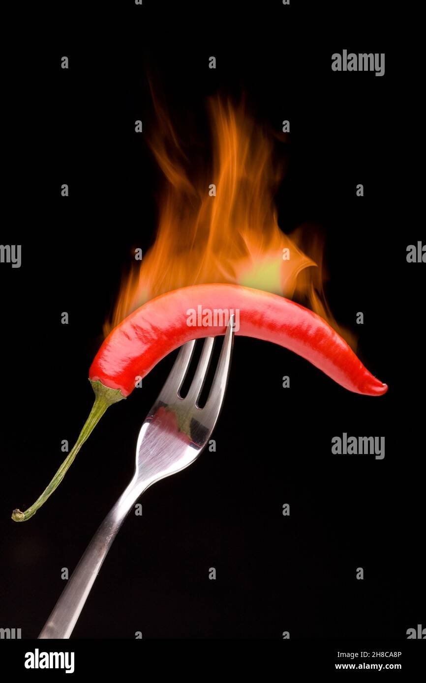 Peperoncino caldo - peperoncino sul forchetta in fiamme Foto Stock